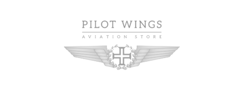 Pilot Wings